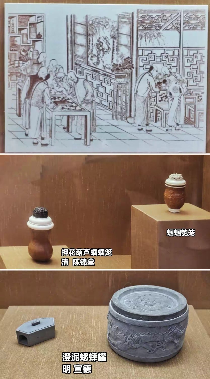 澄泥蟋蟀罐｜资料照片
