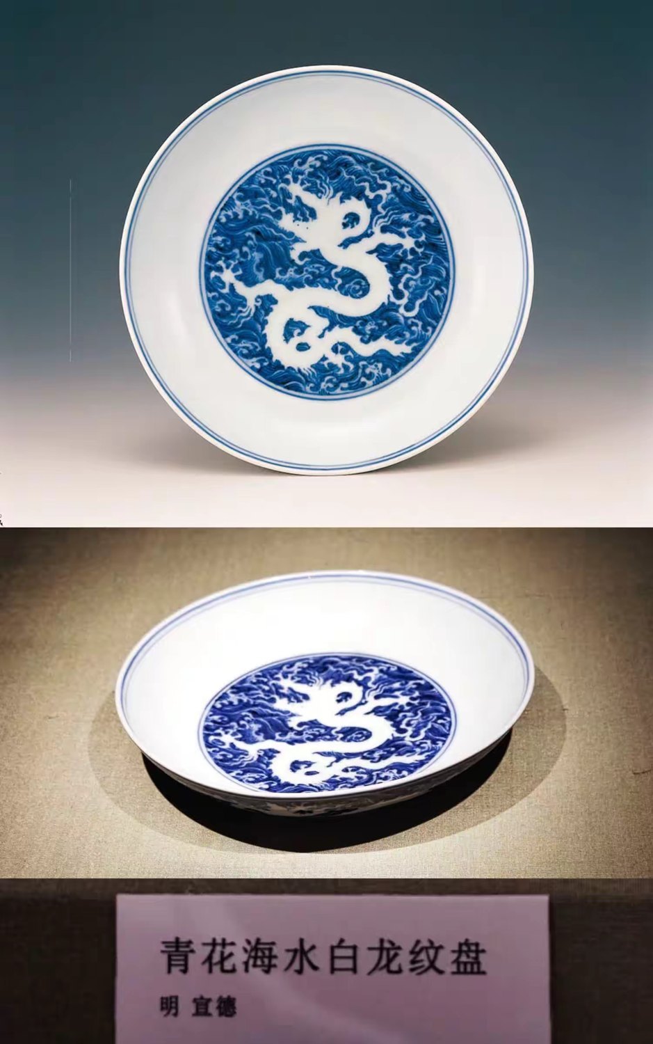 青花海水白龙盘｜资料照片